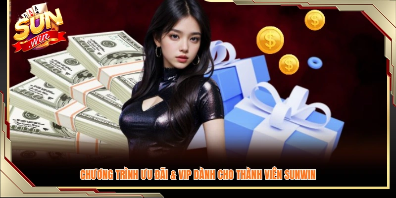 Các gói khuyến mãi và đặc quyền VIP